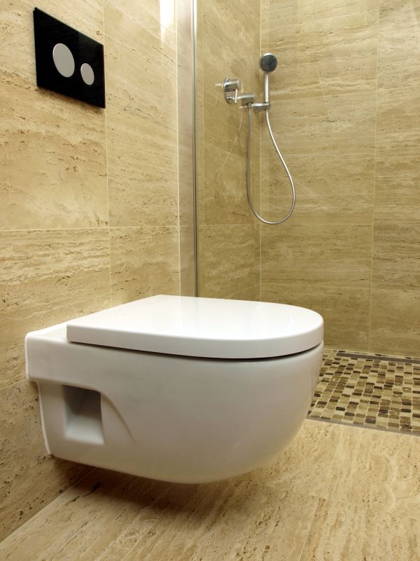 Modern Toilet Design